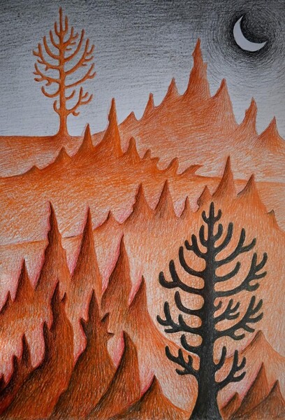 Noc v poušti / Night in desert